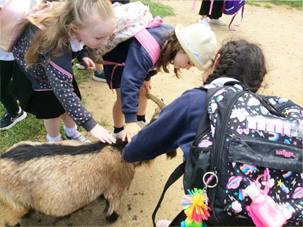 Lethbridge Primary School