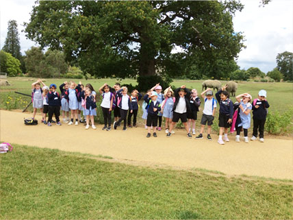 Lethbridge Primary School