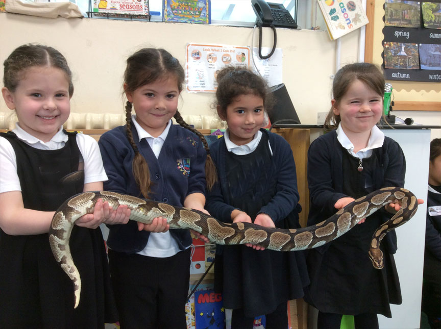 Lethbridge Primary School